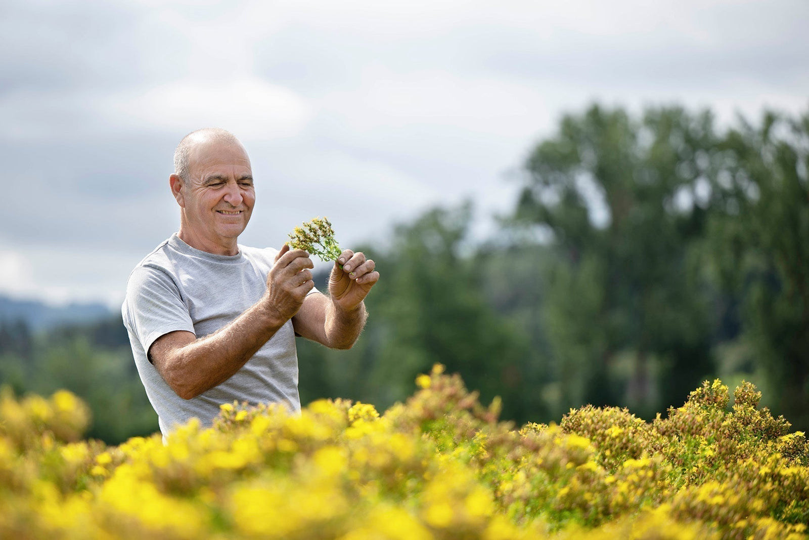 A.Vogel’s Commitment to Sustainability: Celebrating Earth Day Every Day - A.Vogel Canada