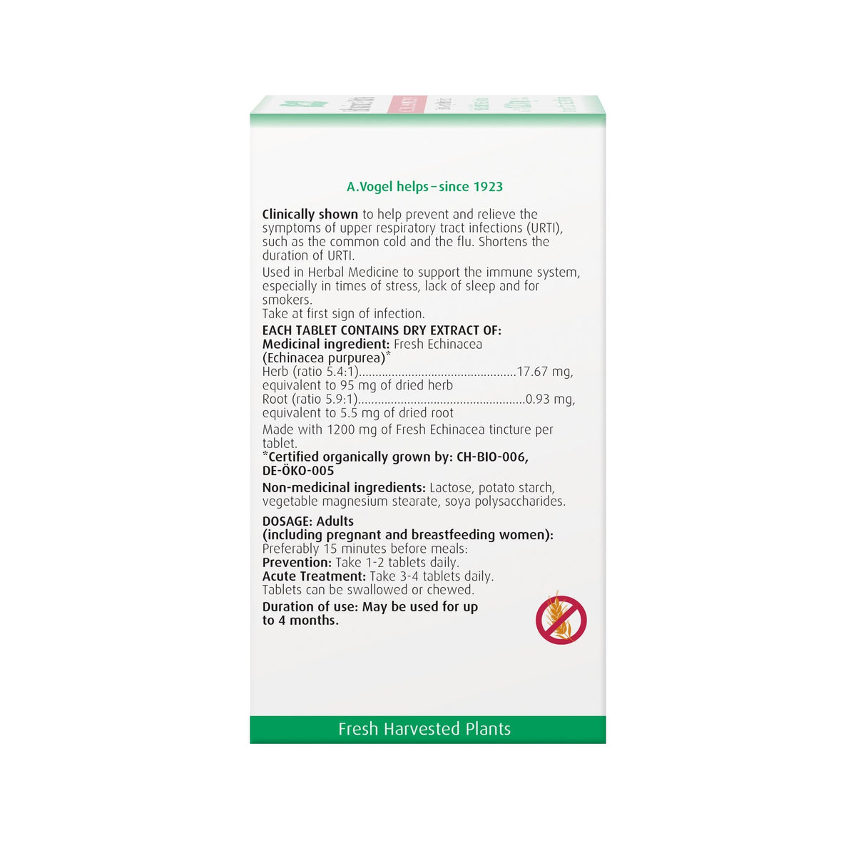 Echinaforce Extra Tablets - Immune System Support - A.Vogel Canada