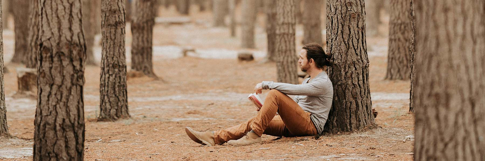 Discover A.Vogel natural and effective products for hemorroids