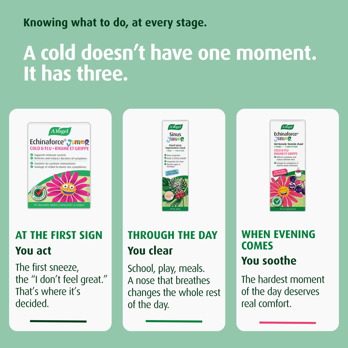 A.VOGEL KIDS COLD & FLU ESSENTIALS