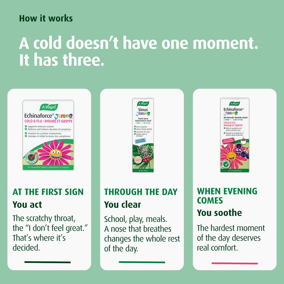 A.VOGEL KIDS COLD & FLU ESSENTIALS