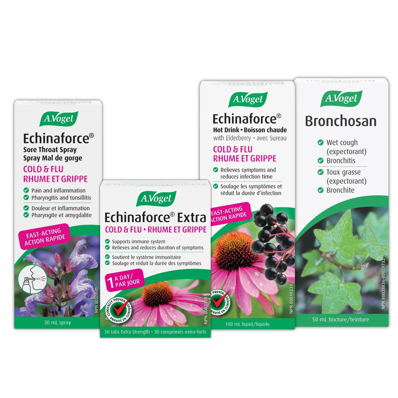 A.VOGEL ADULT COLD & FLU ESSENTIALS - A.Vogel Canada