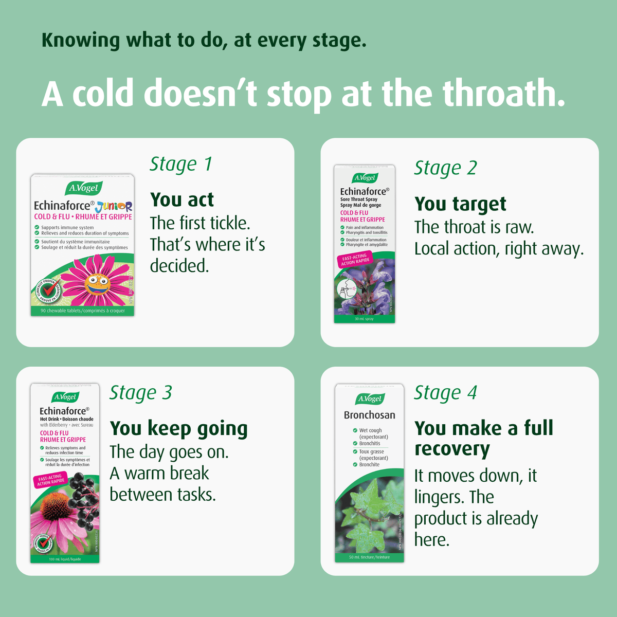A.VOGEL ADULT COLD & FLU ESSENTIALS - A.Vogel Canada