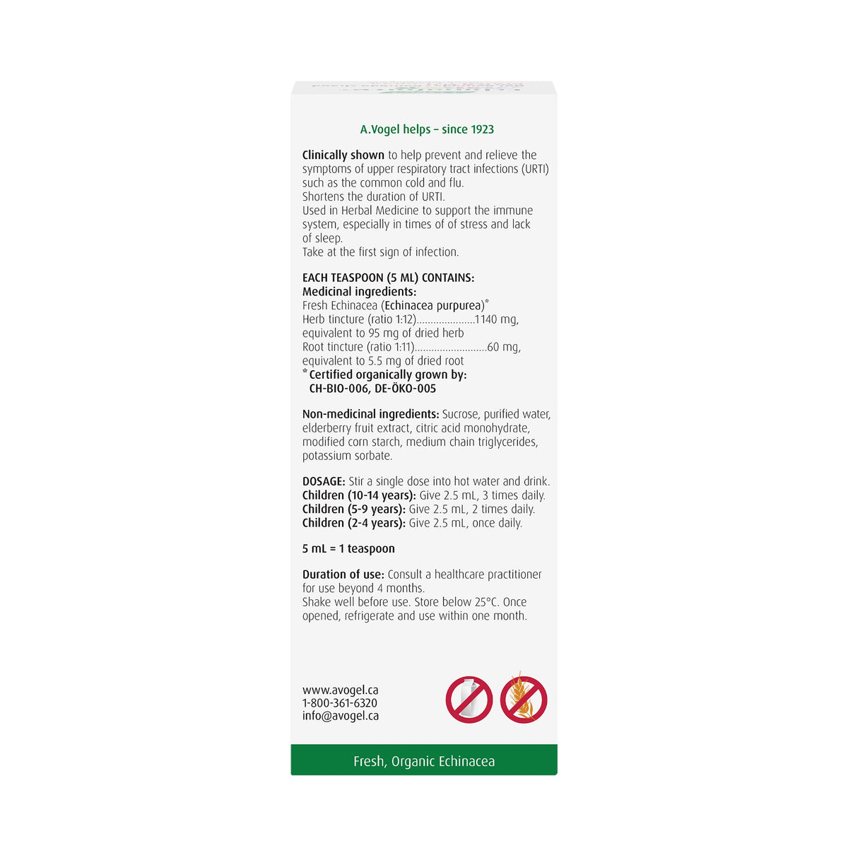 A.Vogel Echinaforce Junior Hot Drink - Cold and Flu Remedy 100mL - A.Vogel Canada