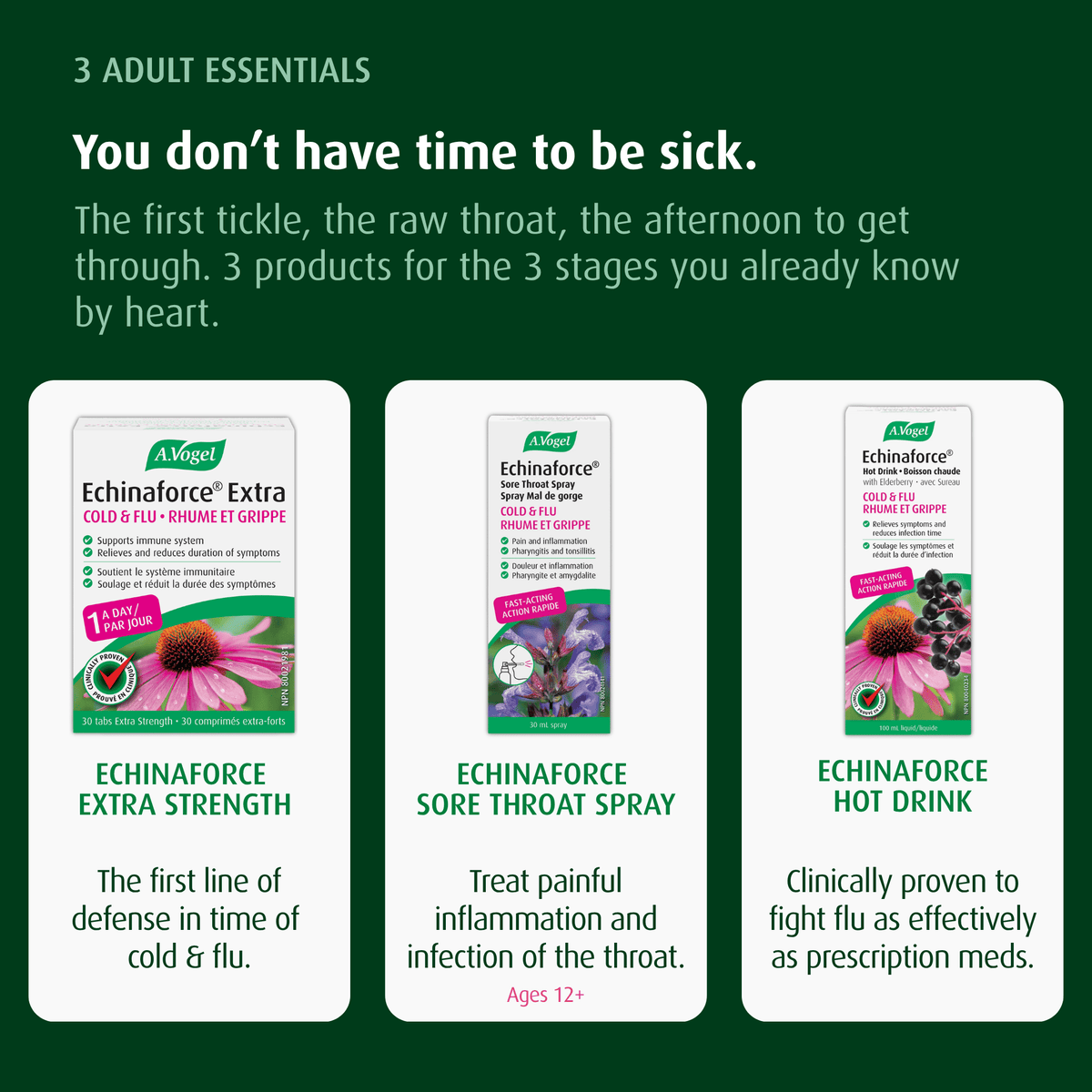 A.VOGEL FAMILY COLD & FLU KIT - A.Vogel Canada