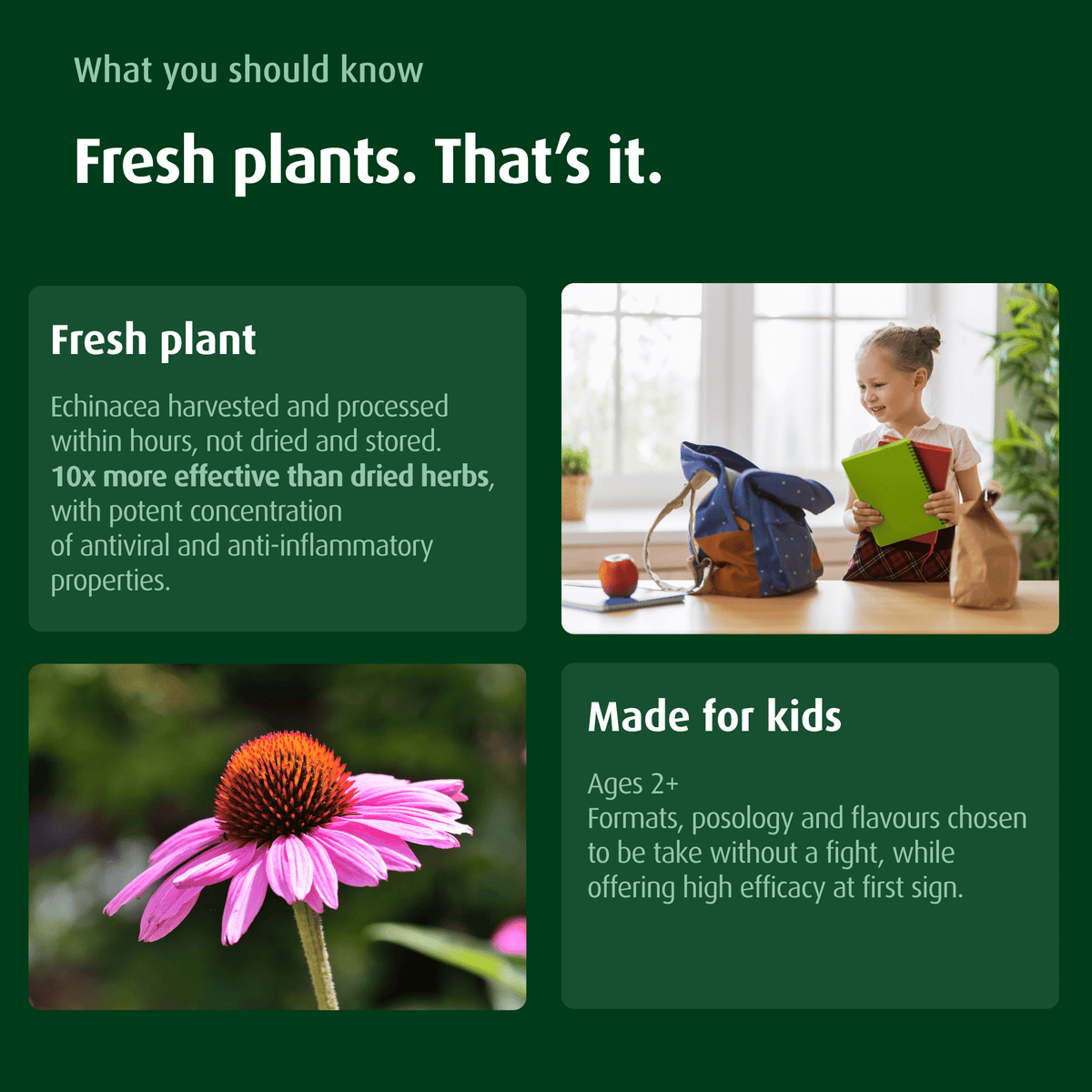 A.VOGEL KIDS COLD & FLU ESSENTIALS - A.Vogel Canada