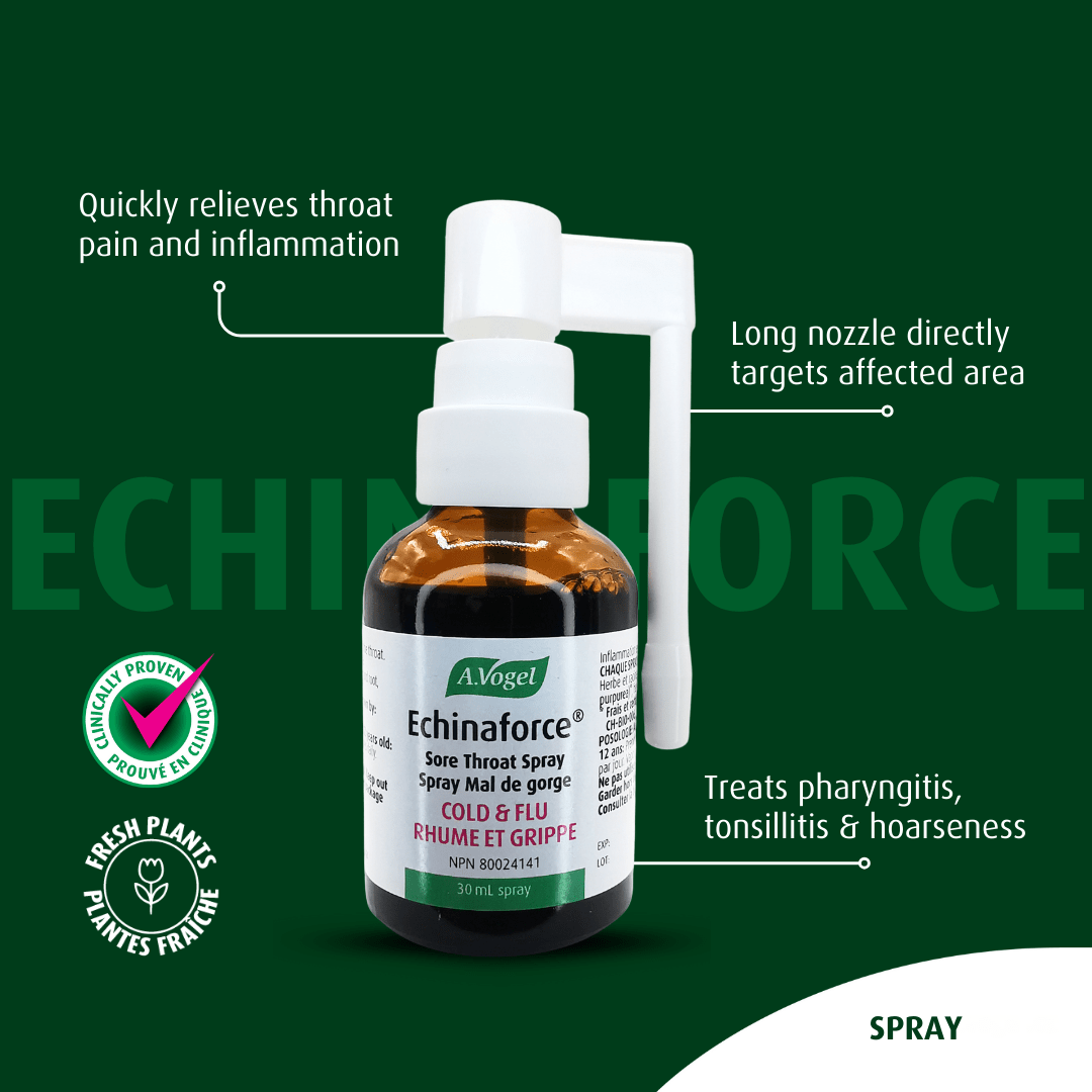 IMMUNITY - WINTER BOX - A.Vogel Canada