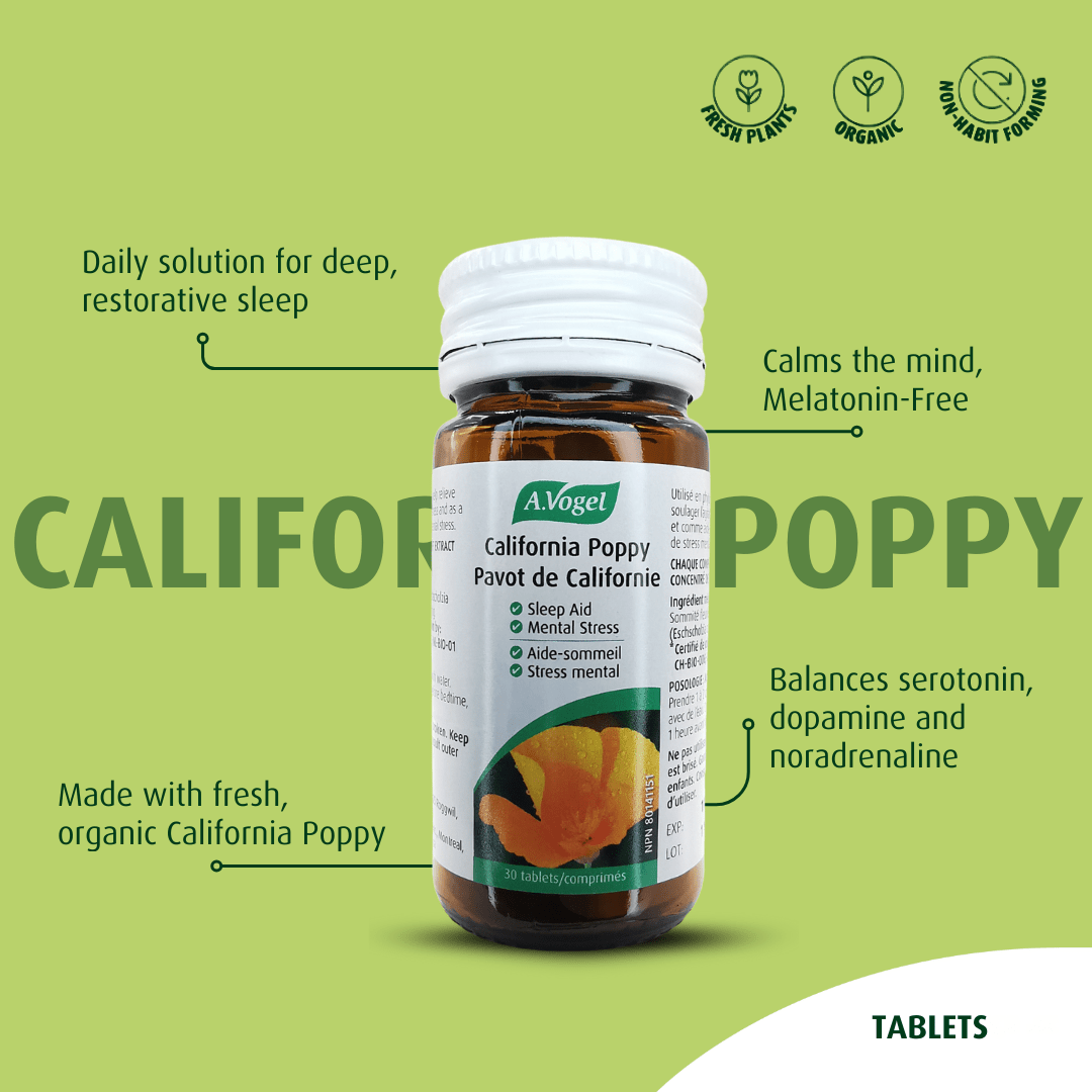 WELLNESS BOX - A.Vogel Canada