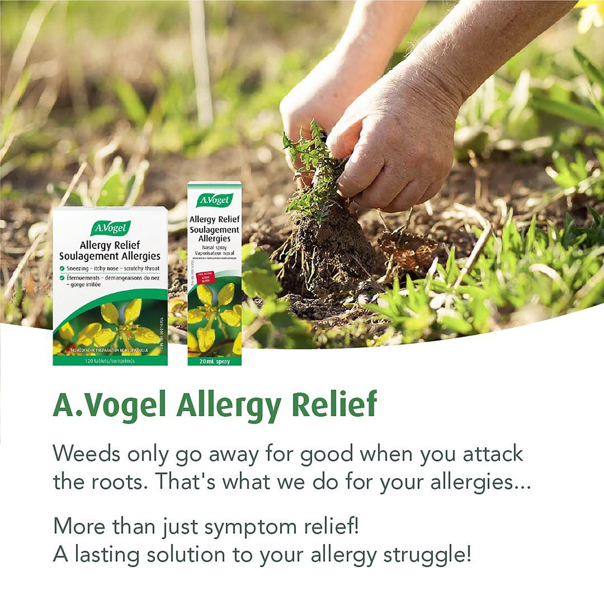 Allergy Relief - Hay Fever Symptoms Non-drowsy 120Tabs - A.Vogel - A.Vogel Canada