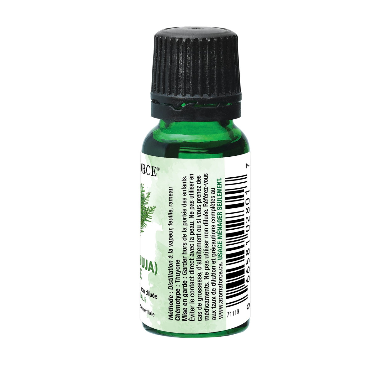 Aromaforce Cedar leaf Essential Oil 15mL - A.Vogel Canada