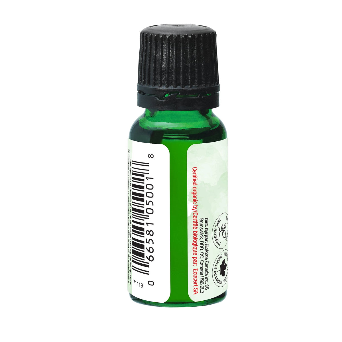 Organic Eucalyptus Essential Oil 100% pure and natural 15mL - Aromaforce