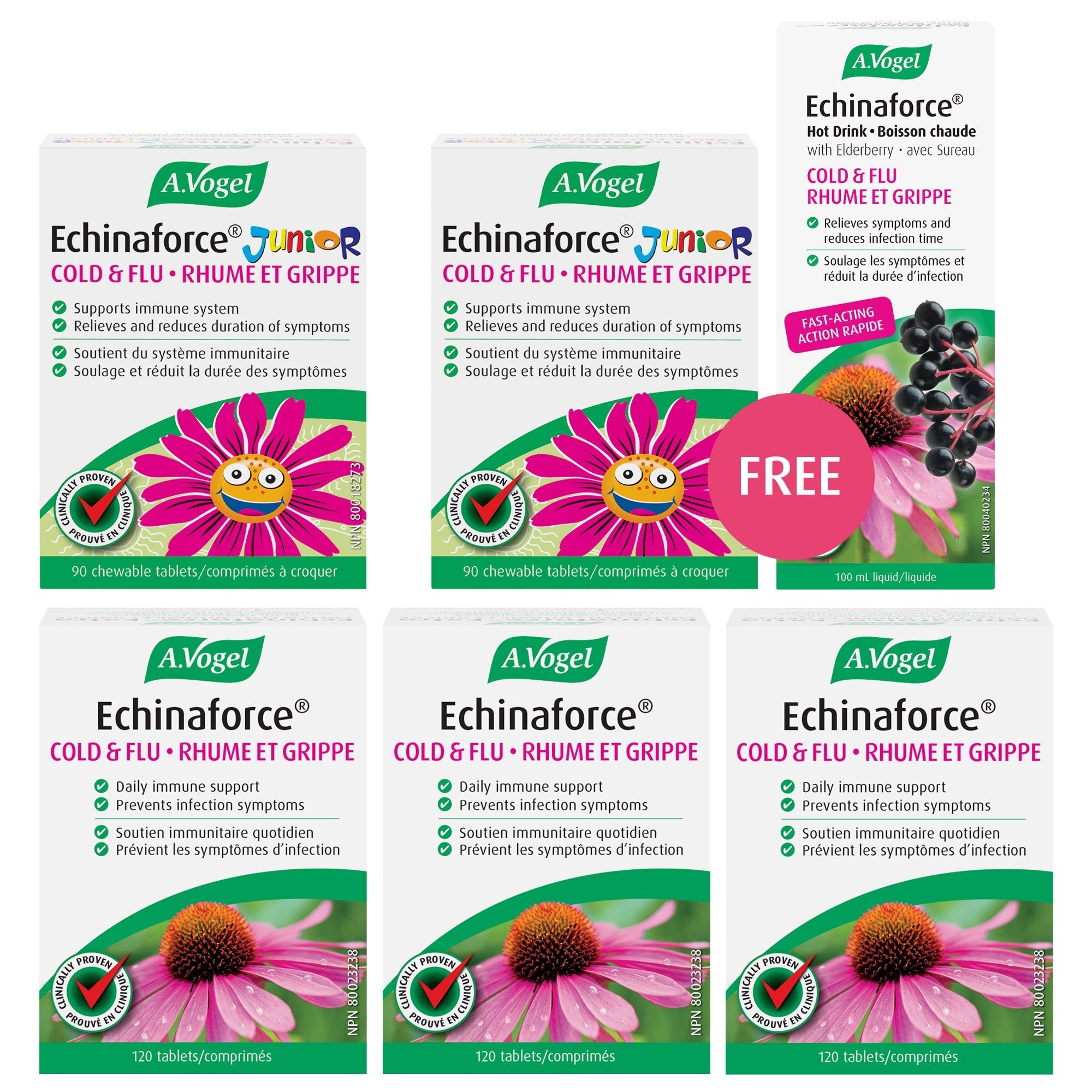 A.Vogel Echinaforce Complete Family Wellness Pack - A.Vogel Canada