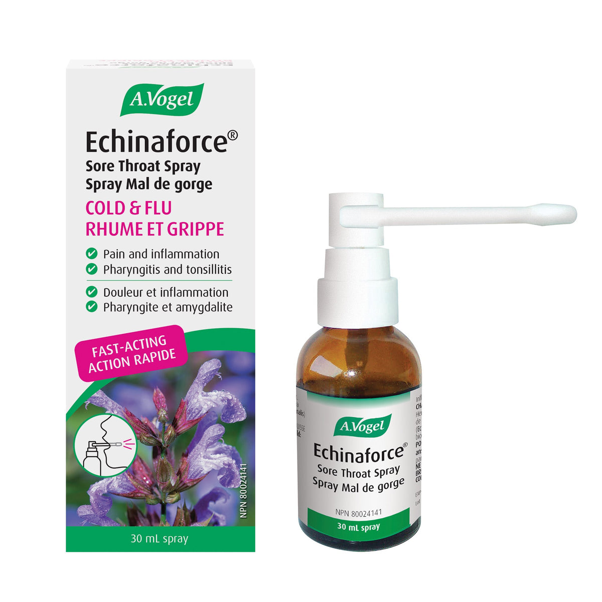 A.Vogel Echinaforce Sore Throat Spray Fast Acting Relief 30mL - A.Vogel Canada