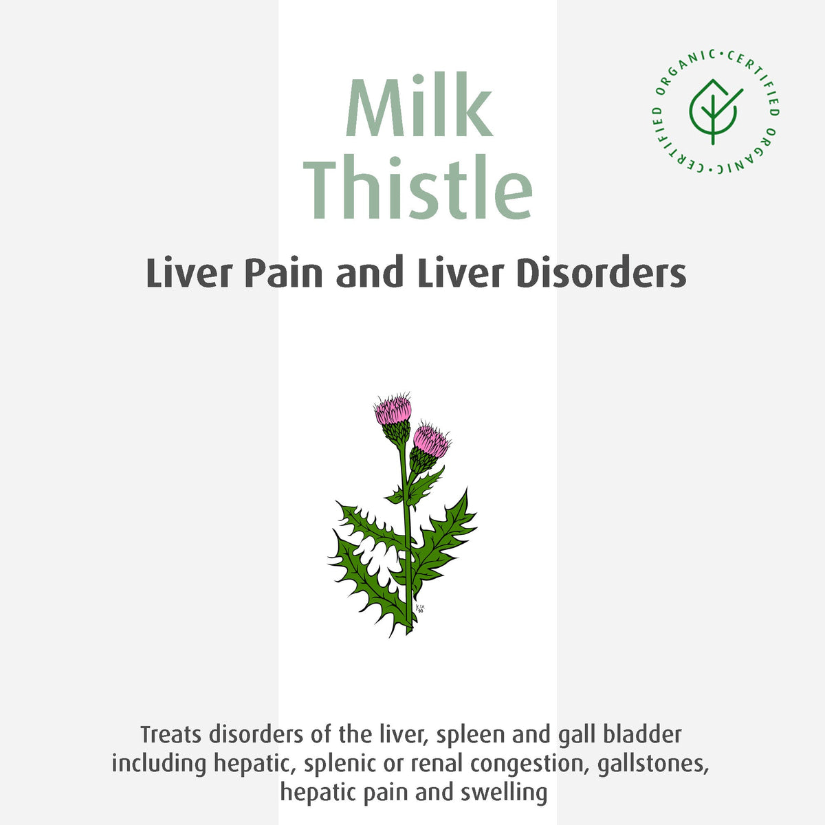 A.Vogel Milk Thistle - Liver Pain and Liver Disorders 50 mL - A.Vogel Canada