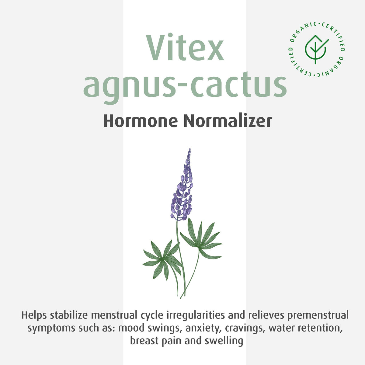 A.Vogel PMS Vitex Chasteberry (Vitex agnus-castus) - Hormone Normalizer 50 mL - A.Vogel Canada