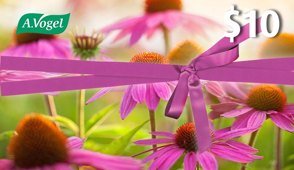 A.Vogel Virtual Gift Card - A.Vogel Canada