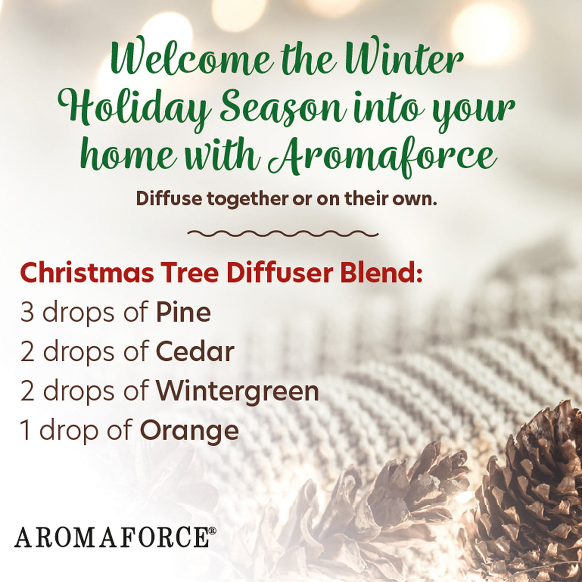 Christmas Tree Bundle - Aromaforce - A.Vogel Canada