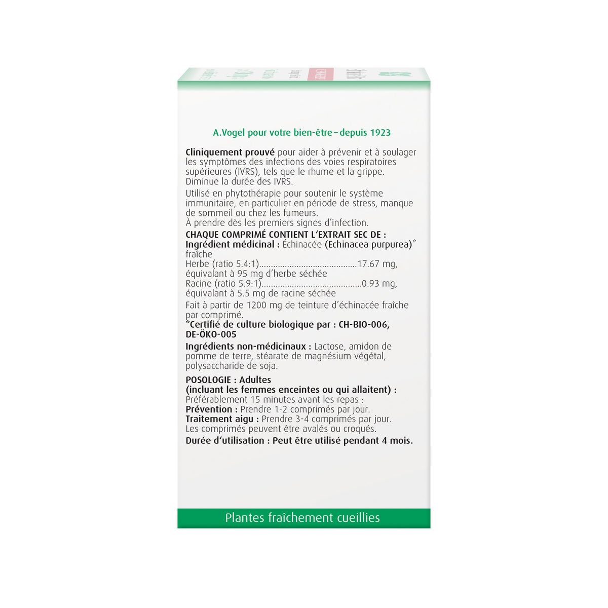 Echinaforce Extra Tablets - Immune System Support - A.Vogel Canada