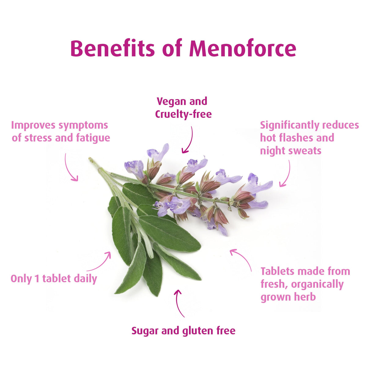 MenoForce Menopause Supplement For Hot Flashes and Excess Sweating- A.Vogel - A.Vogel Canada