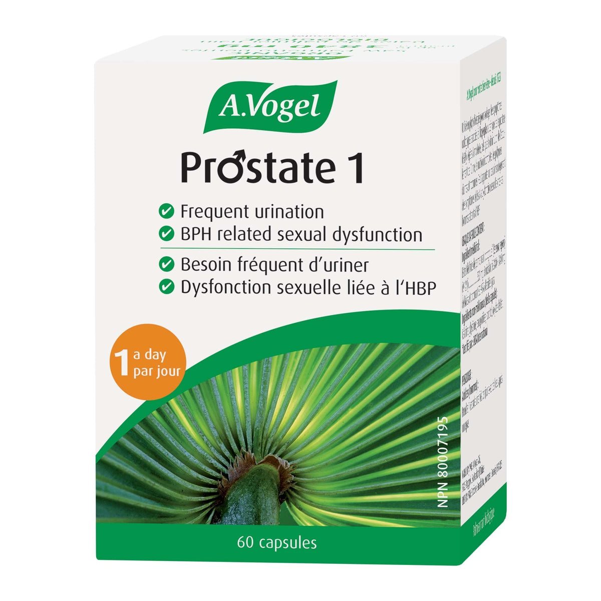 Prostate 1 a Day - Saw Palmetto Capsules for Enlarged Prostate - A.Vogel Canada
